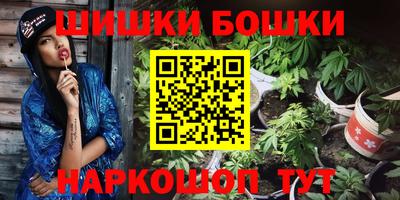 мет Можга